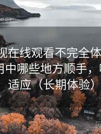 柚子影视在线观看不完全体验说明：日常使用中哪些地方顺手，哪些需要适应（长期体验）