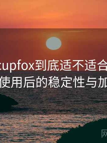 茶杯狐 cupfox到底适不适合长期用？长时间使用后的稳定性与加载表现