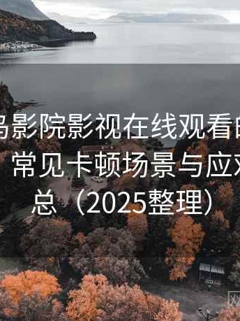 围绕蜂鸟影院影视在线观看的实际使用感想：常见卡顿场景与应对思路汇总（2025整理）