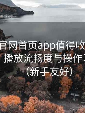 age动漫官网首页app值得收藏吗？界面设计、播放流畅度与操作习惯分析（新手友好）