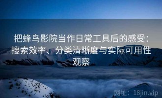 把蜂鸟影院当作日常工具后的感受：搜索效率、分类清晰度与实际可用性观察