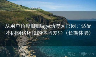 从用户角度聊聊age动漫网官网：适配不同网络环境的体验差异（长期体验）
