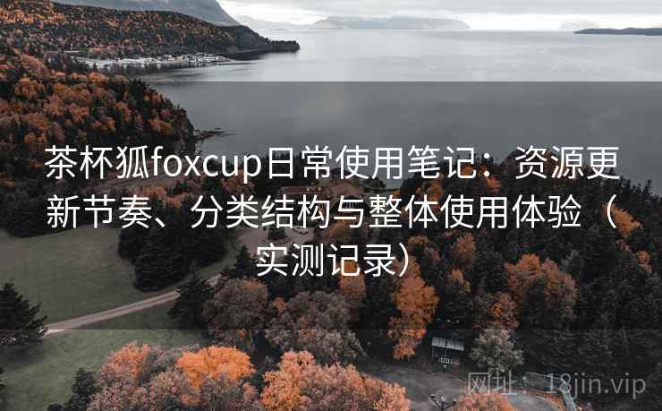 茶杯狐foxcup日常使用笔记：资源更新节奏、分类结构与整体使用体验（实测记录）